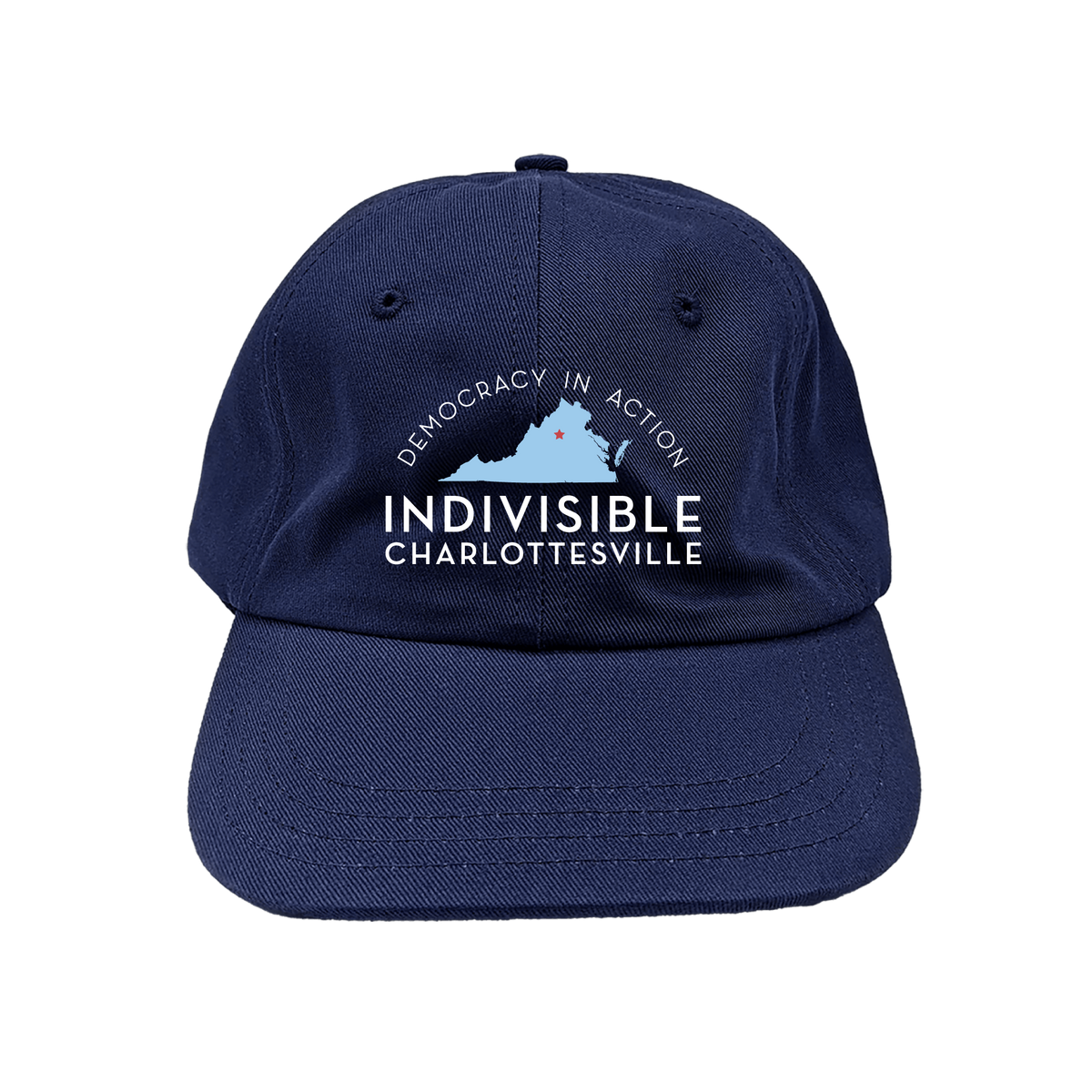Democracy in Action Hat