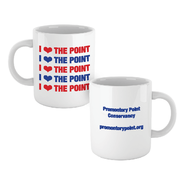 I ❤️ the Point Mug