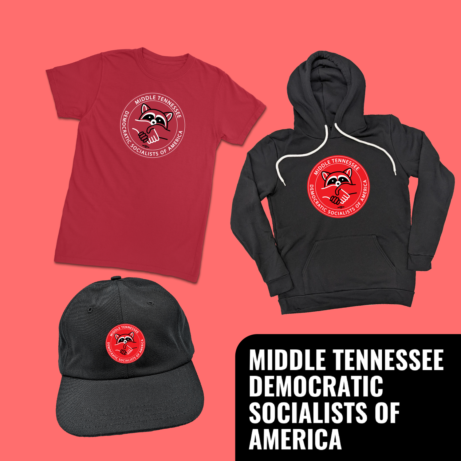 Middle Tennessee DSA