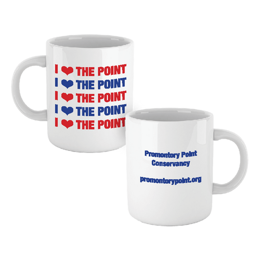I ❤️ the Point Mug
