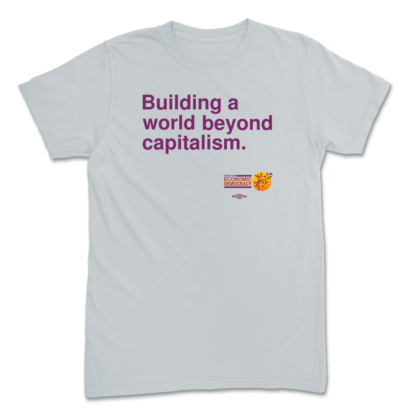 "Building a world beyond capitalism." Platinum T-Shirt